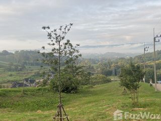 For sale land in Khao Kho, Phetchabun