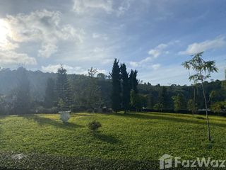 For sale land in Khao Kho, Phetchabun
