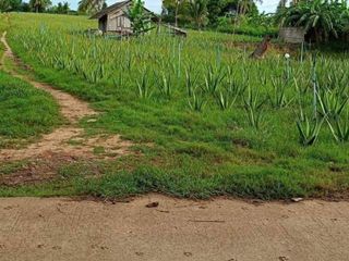 For sale land in Hua Hin, Prachuap Khiri Khan