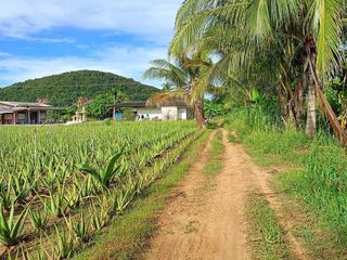 For sale land in Hua Hin, Prachuap Khiri Khan