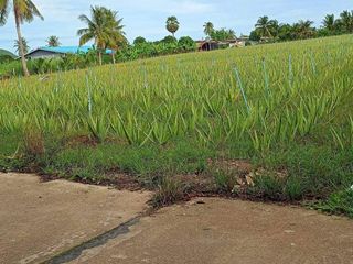 For sale land in Hua Hin, Prachuap Khiri Khan