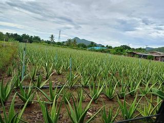 For sale land in Hua Hin, Prachuap Khiri Khan