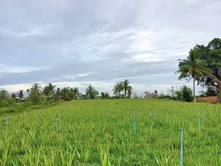 For sale land in Hua Hin, Prachuap Khiri Khan