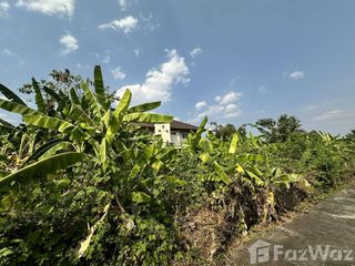 For sale land in San Sai, Chiang Mai