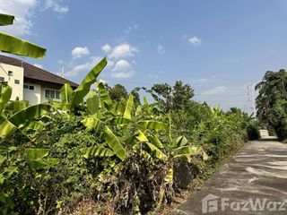 For sale land in San Sai, Chiang Mai