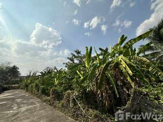 For sale land in San Sai, Chiang Mai