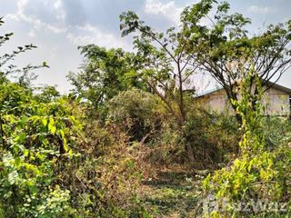 For sale land in Phan, Chiang Rai