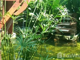 For sale 5 bed house in Nang Rong, Buriram