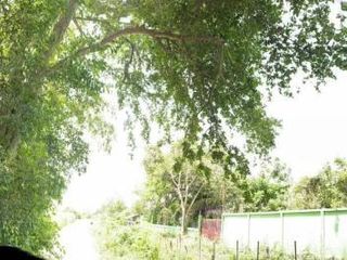 For sale 1 bed land in Kamphaeng Saen, Nakhon Pathom