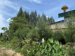 For sale 1 bed land in Kamphaeng Saen, Nakhon Pathom