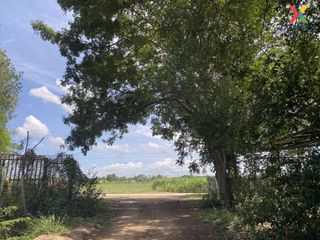 For sale 1 bed land in Kamphaeng Saen, Nakhon Pathom