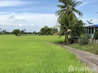For sale land in Sena, Phra Nakhon Si Ayutthaya