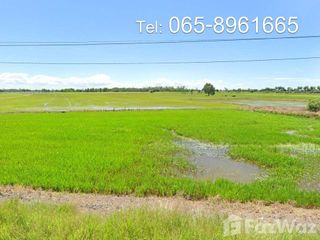 For sale land in Sena, Phra Nakhon Si Ayutthaya