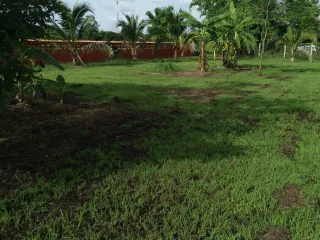 For sale land in Mueang Nong Khai, Nong Khai