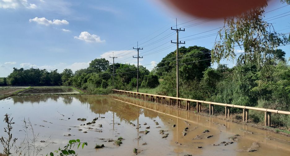 For sale land in Mueang Phichit, Phichit