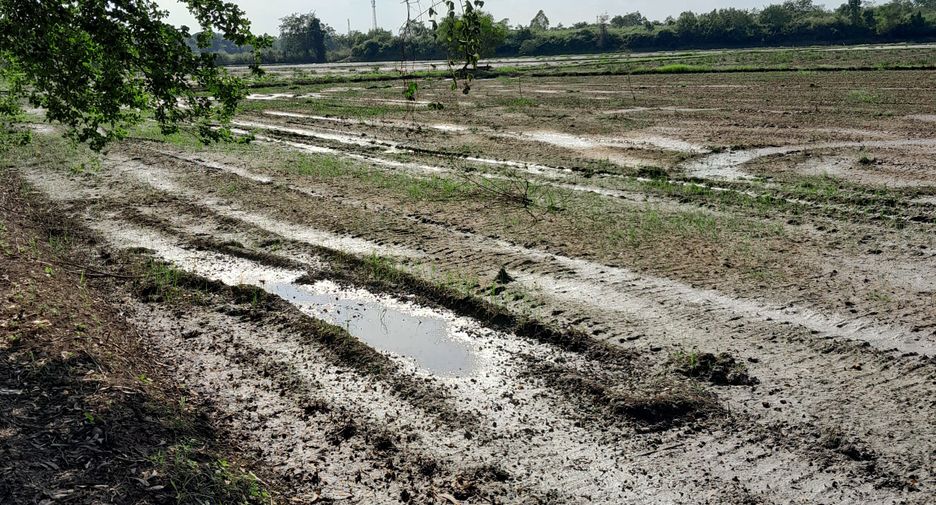 For sale land in Mueang Phichit, Phichit