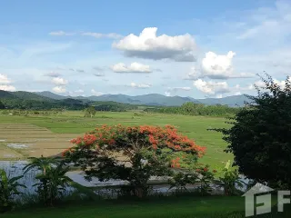 ขาย 5 เตียง บ้านเดี่ยว ใน เทิง, เชียงราย