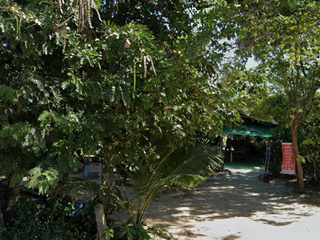 For sale land in Uthumphon Phisai, Sisaket