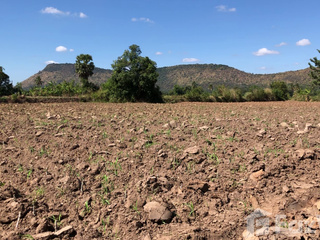 For sale land in Sikhio, Nakhon Ratchasima
