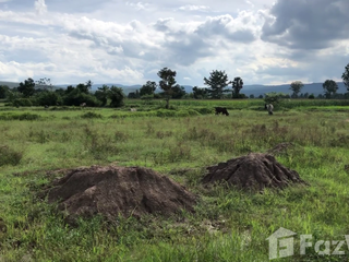 For sale land in Sikhio, Nakhon Ratchasima