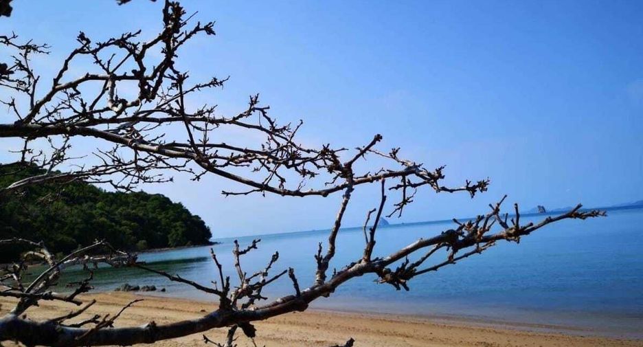 For sale land in Ko Yao, Phang Nga