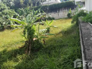 For sale land in Thalang, Phuket