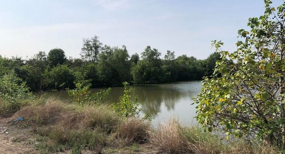 For sale land in Amphawa, Samut Songkhram