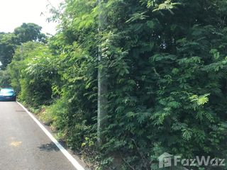 For sale land in Mueang Sing Buri, Sing Buri