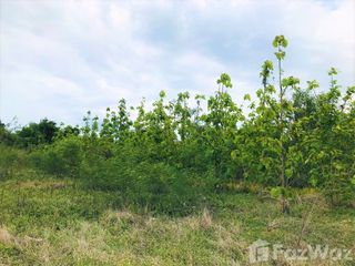 For sale land in Mueang Kanchanaburi, Kanchanaburi