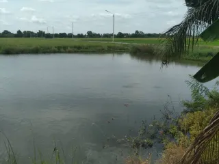 For sale land in Bang Sai, Phra Nakhon Si Ayutthaya