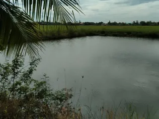 For sale land in Bang Sai, Phra Nakhon Si Ayutthaya