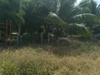 For sale land in Bang Sai, Phra Nakhon Si Ayutthaya