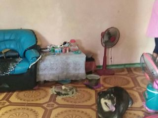 For sale 1 bed house in Tha Ruea, Phra Nakhon Si Ayutthaya