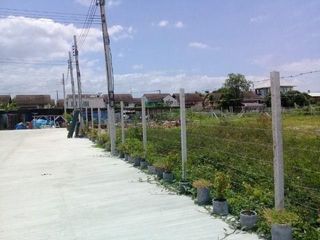 For sale land in Saphan Sung, Bangkok