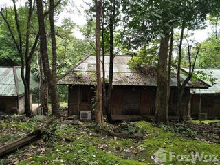 ขาย ที่ดิน ใน คลองใหญ่, ตราด