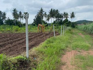 For sale land in Chom Bueng, Ratchaburi
