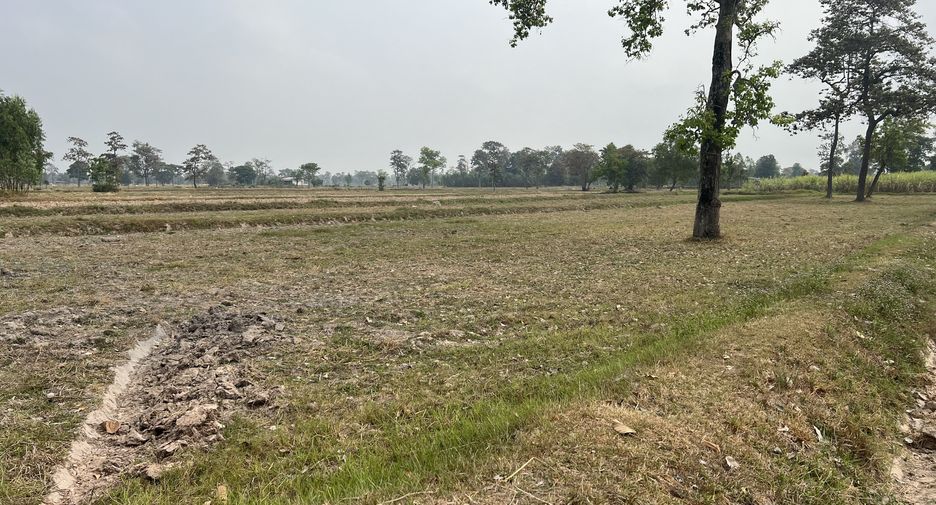 For sale land in Prasat, Surin