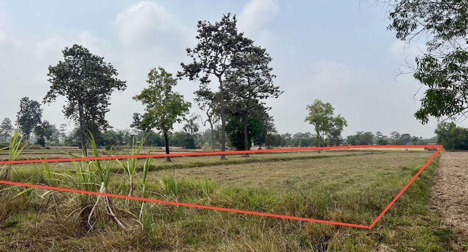 For sale land in Prasat, Surin