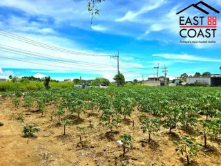 Terreno en venta en Bang Lamung, Chonburi
