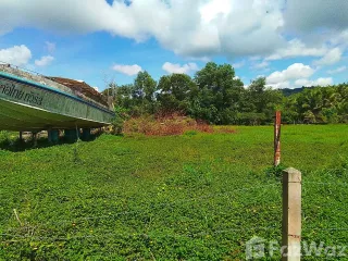 For sale land in Thalang, Phuket