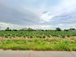 For sale land in Pluak Daeng, Rayong