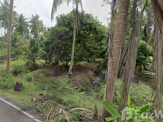 For sale land in Bang Khonthi, Samut Songkhram