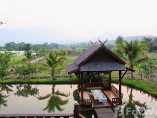 For sale land in Chiang Dao, Chiang Mai