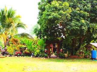 For sale land in Chiang Dao, Chiang Mai
