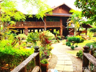 For sale land in Chiang Dao, Chiang Mai