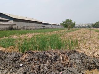 For sale 1 bed land in Bang Pa-in, Phra Nakhon Si Ayutthaya