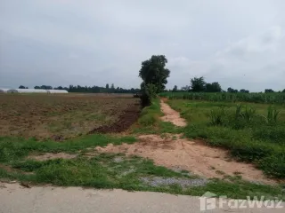 For sale land in Nong Ya Sai, Suphan Buri