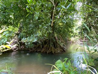 ขาย ที่ดิน ใน ทองผาภูมิ, กาญจนบุรี