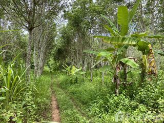 ขาย ที่ดิน ใน ทองผาภูมิ, กาญจนบุรี