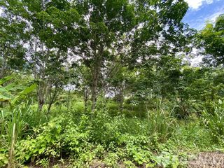 ขาย ที่ดิน ใน ทองผาภูมิ, กาญจนบุรี